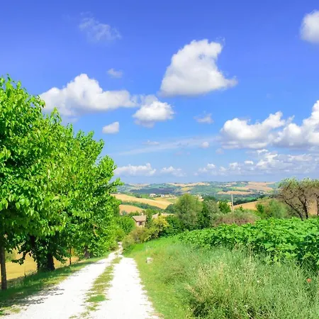 Via Consolazione Castel Colonna